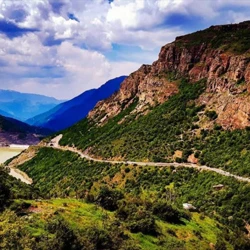 جنگل چهارباغ