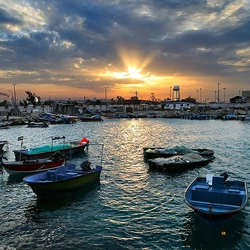 جزیره خارگ